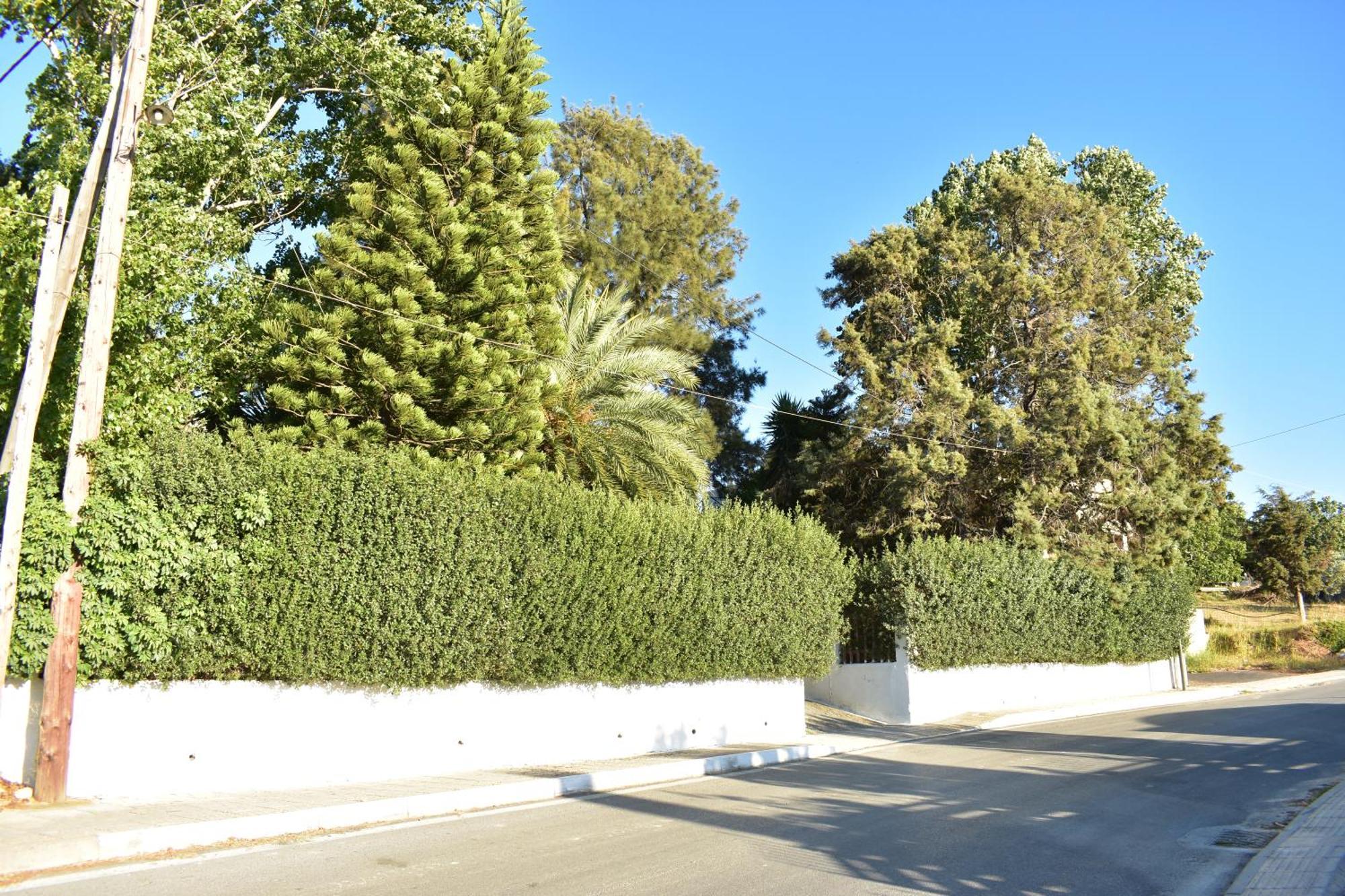 Вилла Νιrαsτεrο - The House In The Trees Kalloni  Экстерьер фото